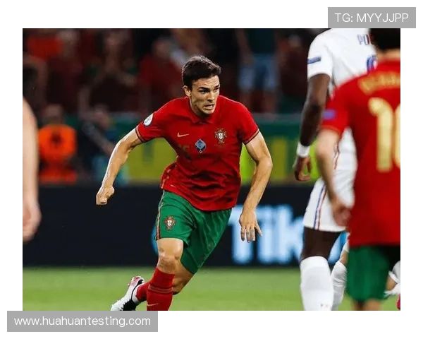 帕利尼亚：从边缘到主力的地位跃升解析